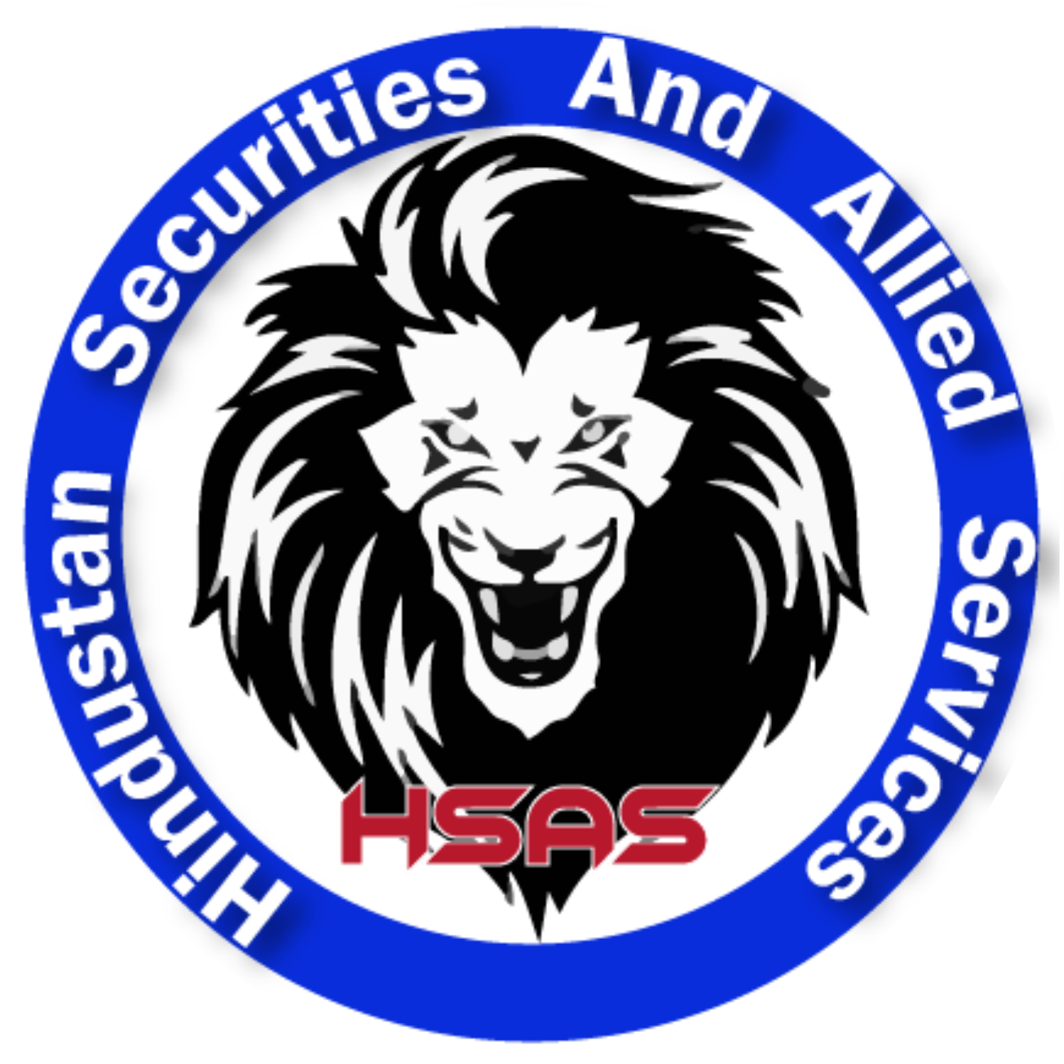 Hindustan Securities And Allied Services